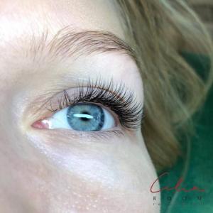 Фотография Cilia ROOM 3