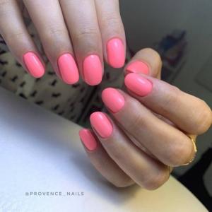 Фотография Nail studio Provence 0