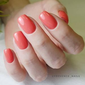 Фотография Nail studio Provence 2